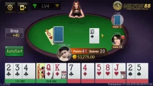 Pool Rummy